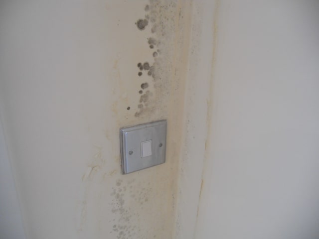 Condensation Damp in house