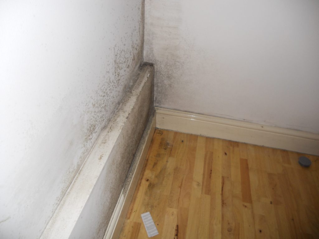 Rising Damp walls in House